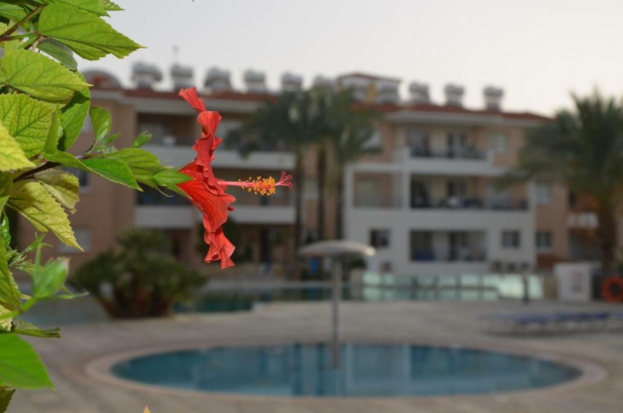 Iris Village Paphos Bagian luar foto